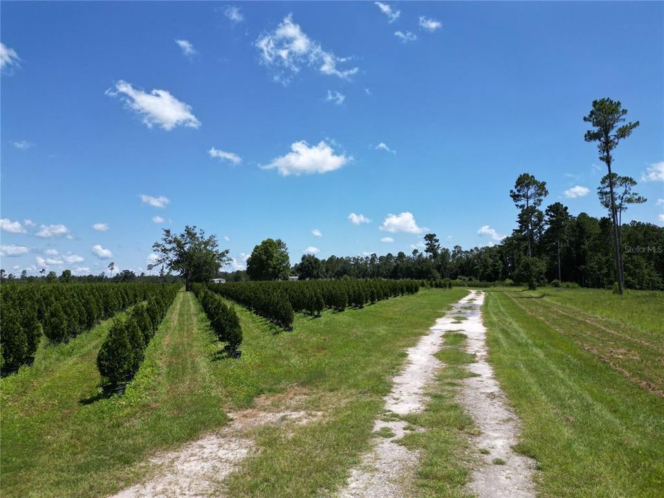 На продажу: $2,900,000 (0 спален, 0 ванн, 1216 Квадратных фут)