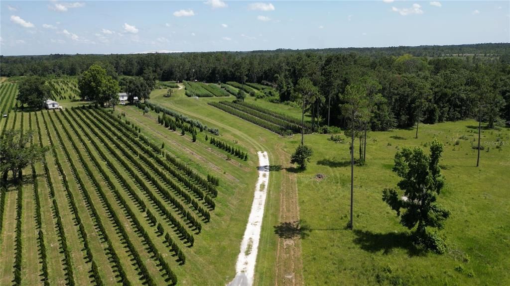 На продажу: $2,900,000 (0 спален, 0 ванн, 1216 Квадратных фут)