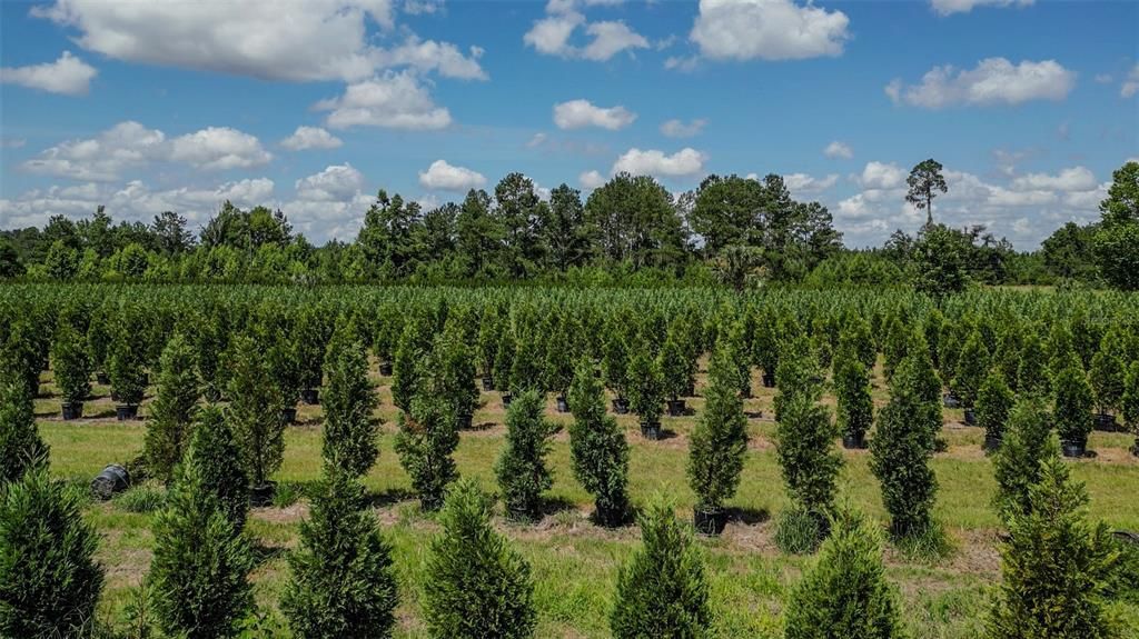 На продажу: $2,900,000 (0 спален, 0 ванн, 1216 Квадратных фут)