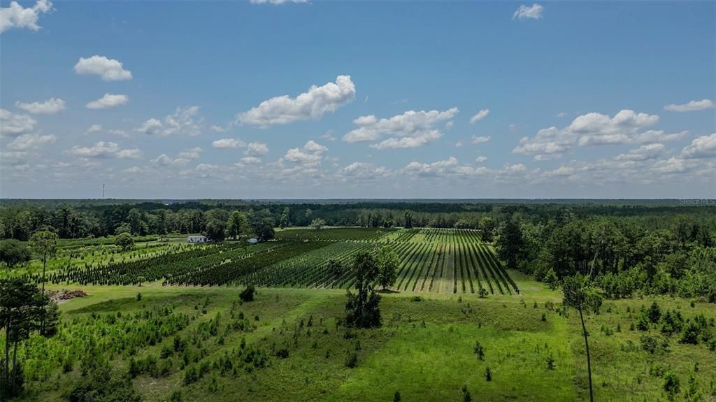 На продажу: $2,900,000 (0 спален, 0 ванн, 1216 Квадратных фут)