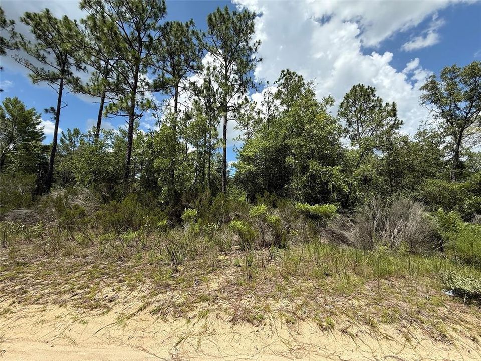 待售: $11,500 (0.27 acres)