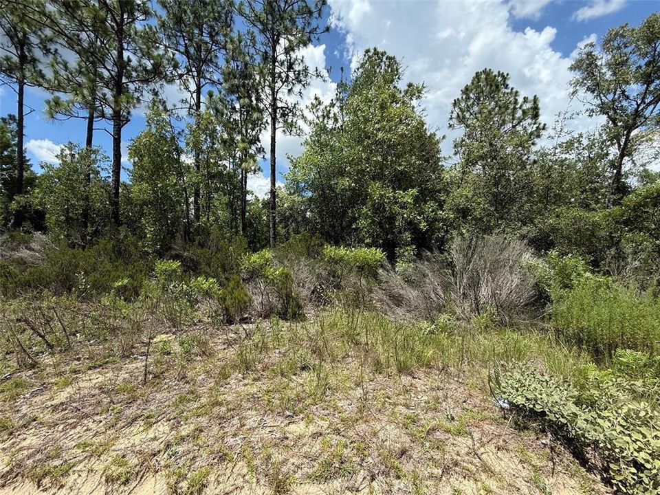 待售: $11,500 (0.27 acres)