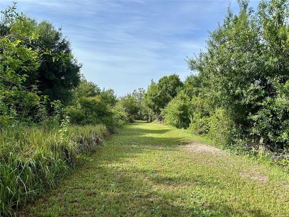 En Venta: $160,000 (5.01 acres)