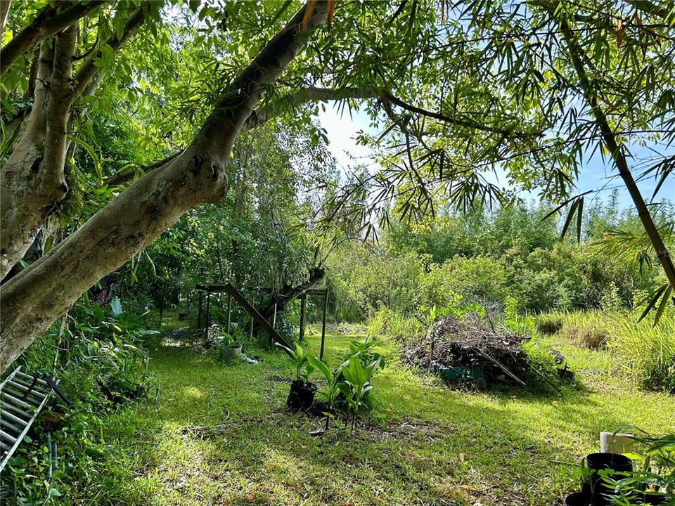 En Venta: $160,000 (5.01 acres)