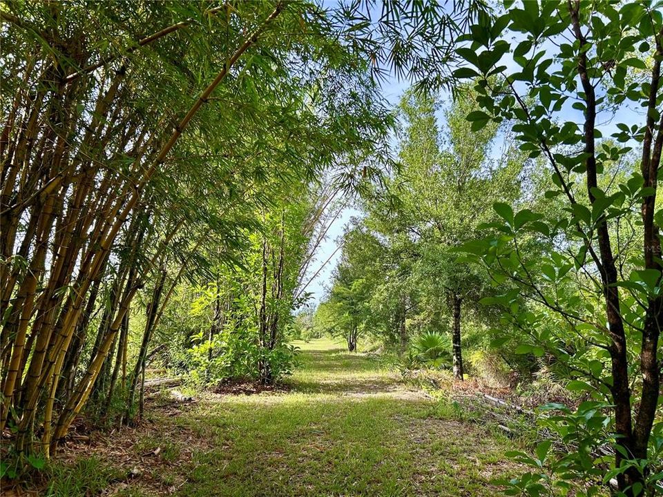 En Venta: $160,000 (5.01 acres)