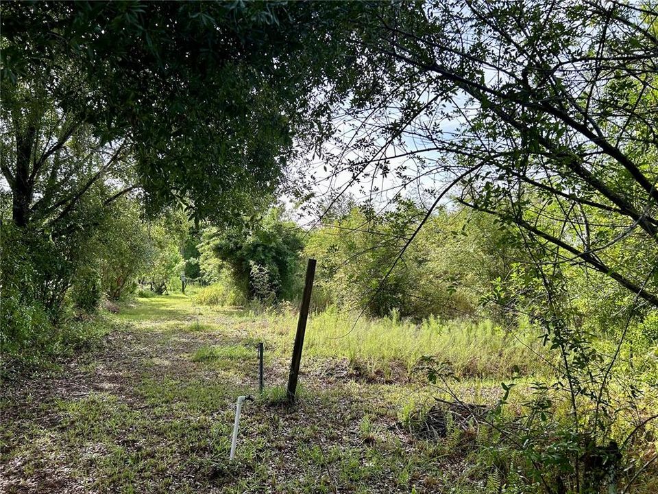 En Venta: $160,000 (5.01 acres)