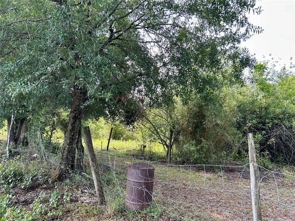 En Venta: $160,000 (5.01 acres)