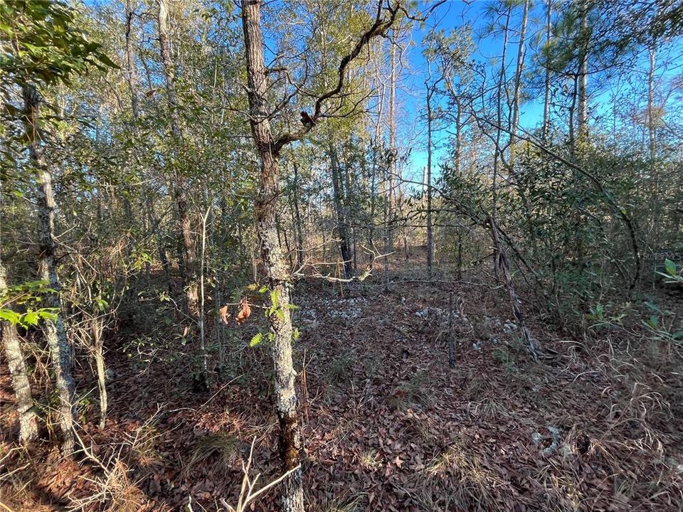 En Venta: $14,800 (1.06 acres)