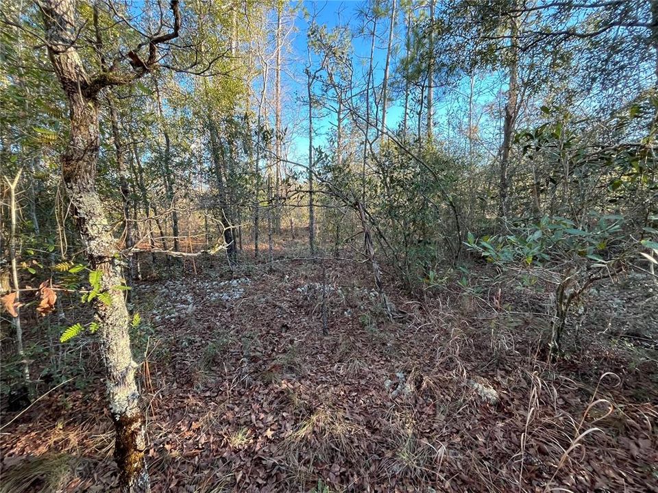 En Venta: $14,800 (1.06 acres)