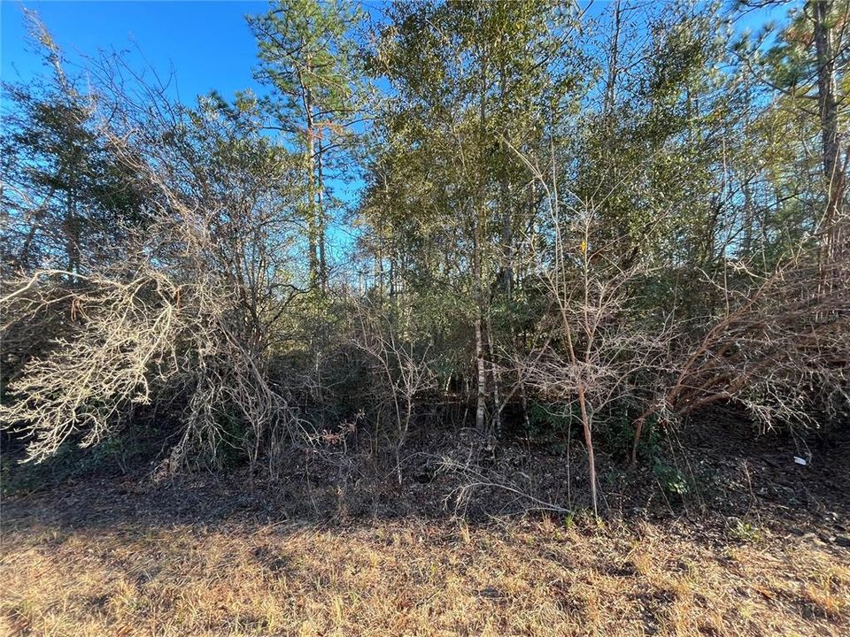 En Venta: $14,800 (1.06 acres)