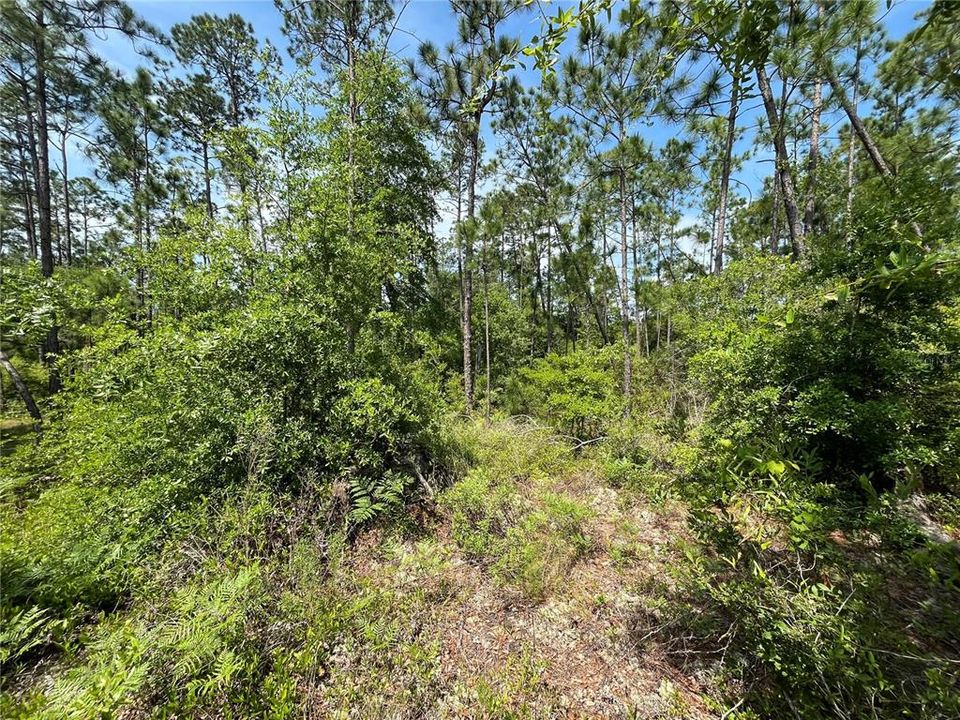 待售: $12,300 (1.29 acres)