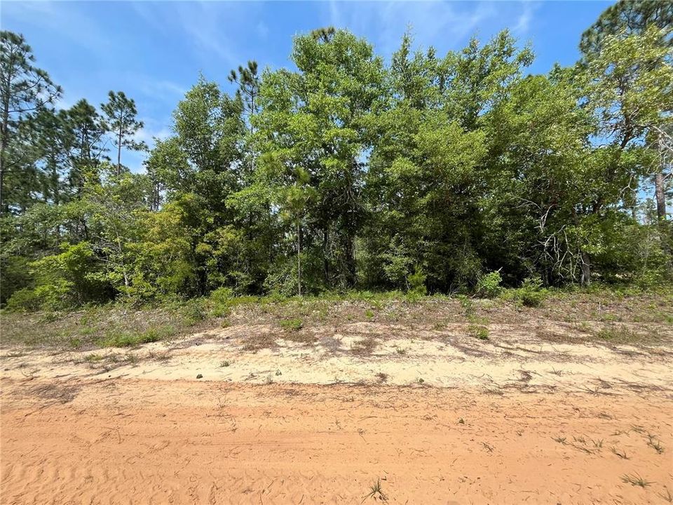 待售: $12,300 (1.29 acres)