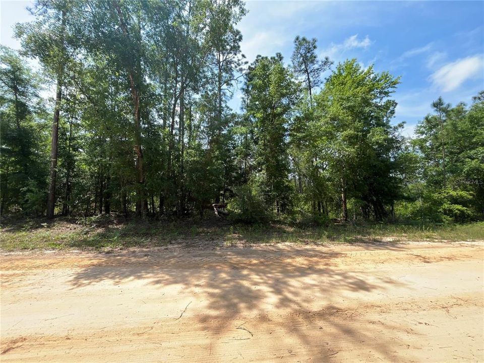 待售: $12,300 (1.29 acres)