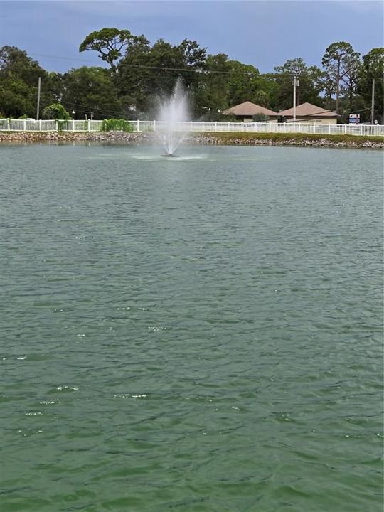 fountain to enjoy
