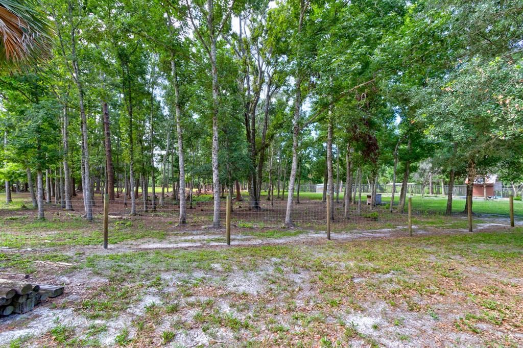 Под контрактом: $475,000 (3 спален, 2 ванн, 1362 Квадратных фут)