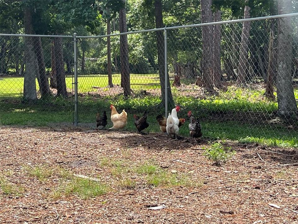 Под контрактом: $475,000 (3 спален, 2 ванн, 1362 Квадратных фут)