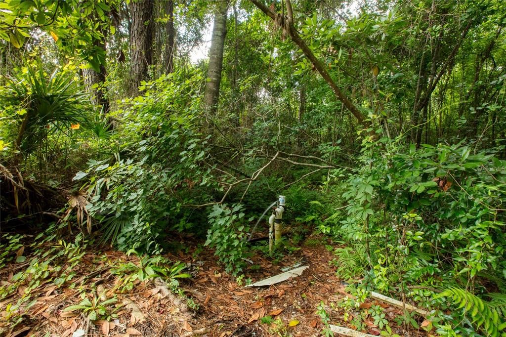 待售: $74,900 (1.36 acres)