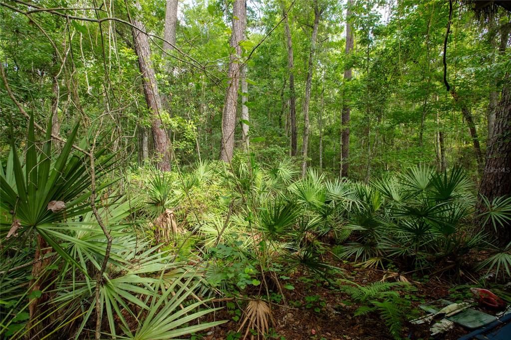 待售: $74,900 (1.36 acres)