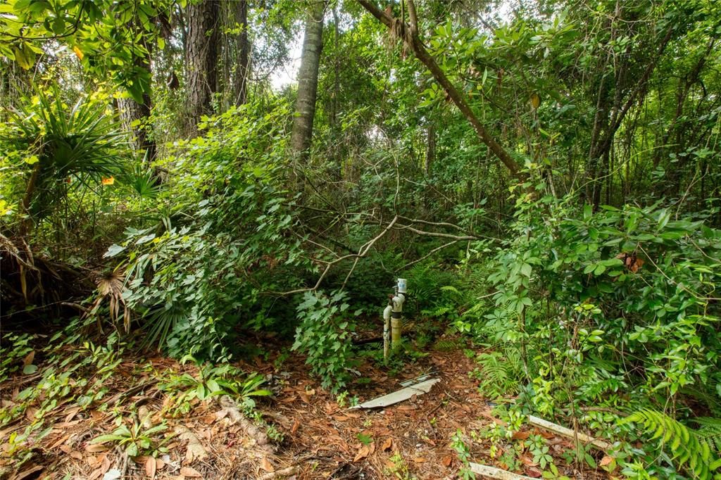 待售: $74,900 (1.36 acres)