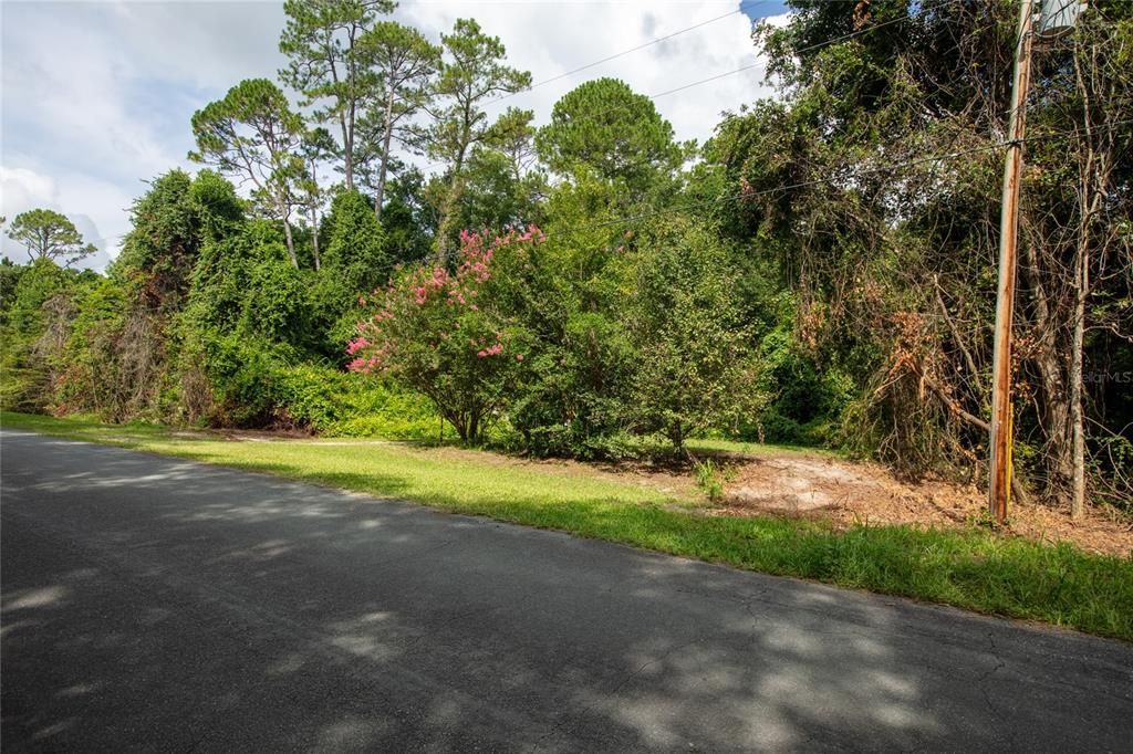 待售: $74,900 (1.36 acres)