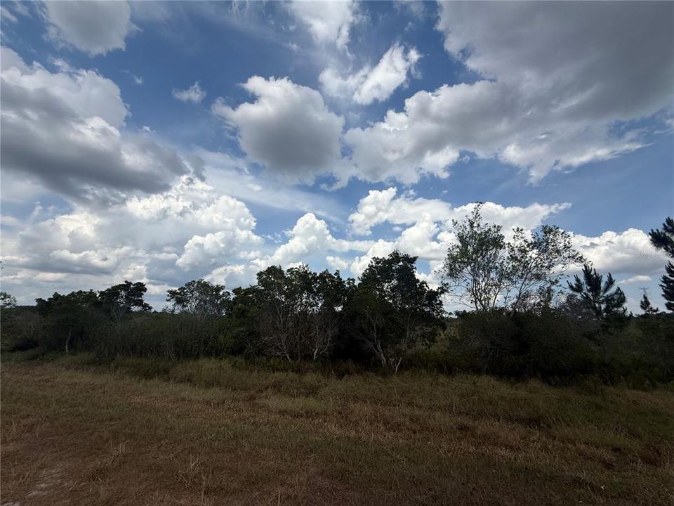 For Sale: $29,555 (1.04 acres)