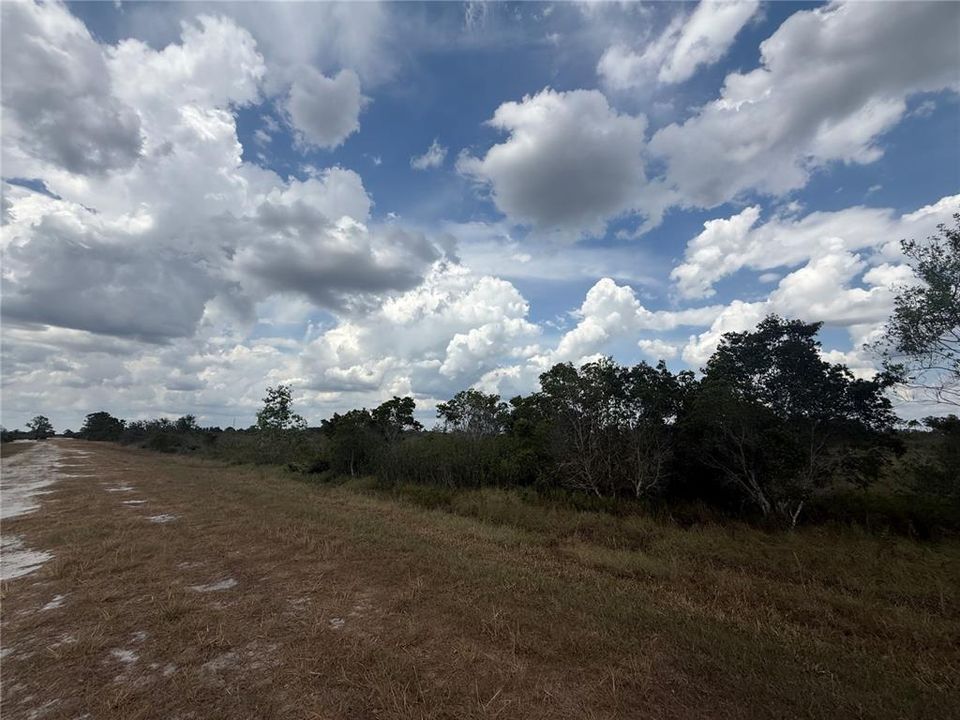 For Sale: $29,555 (1.04 acres)