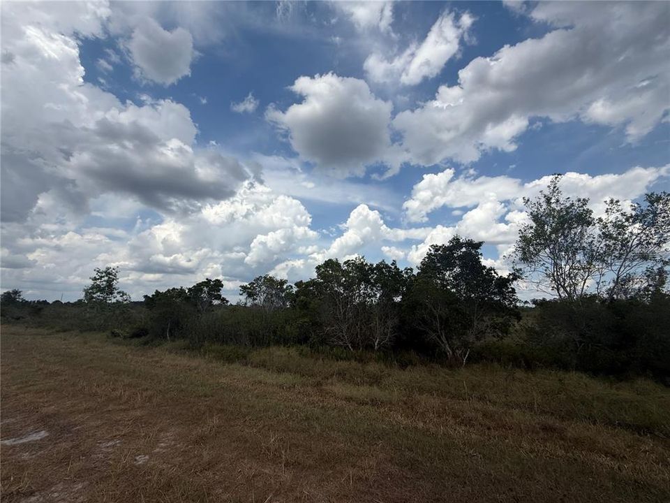 For Sale: $29,555 (1.04 acres)