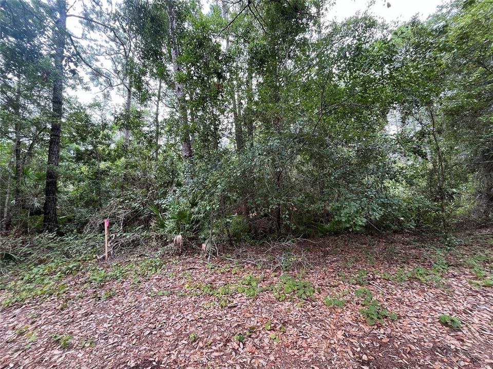 Recently Sold: $7,900 (0.23 acres)