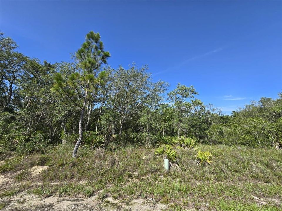 На продажу: $80,000 (0.40 acres)