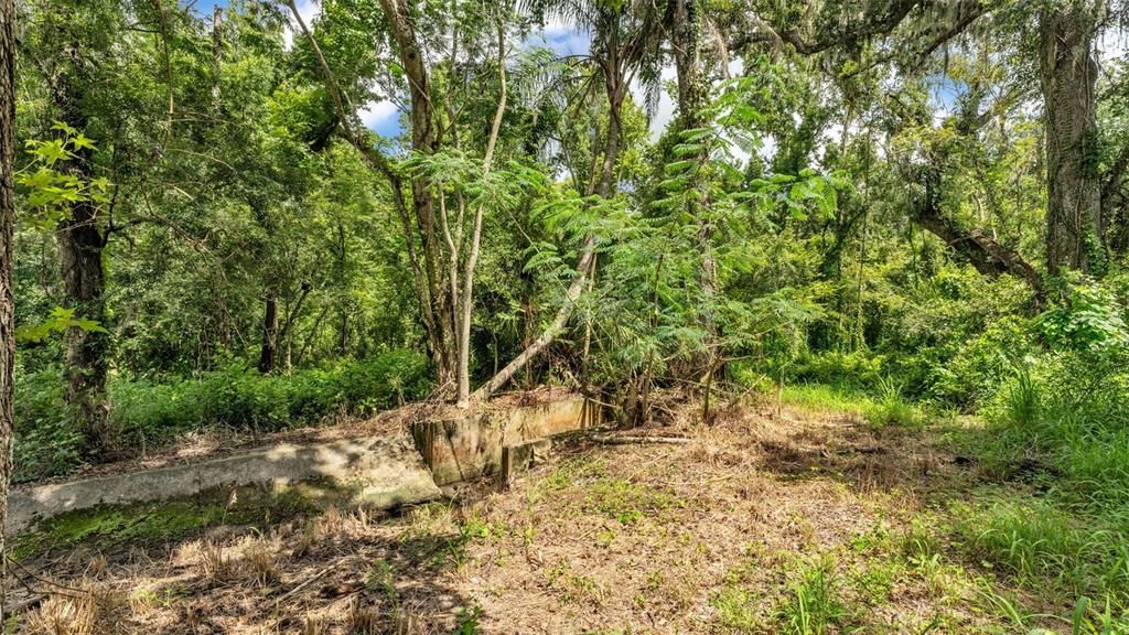 待售: $549,000 (3 贝兹, 2 浴室, 3541 平方英尺)