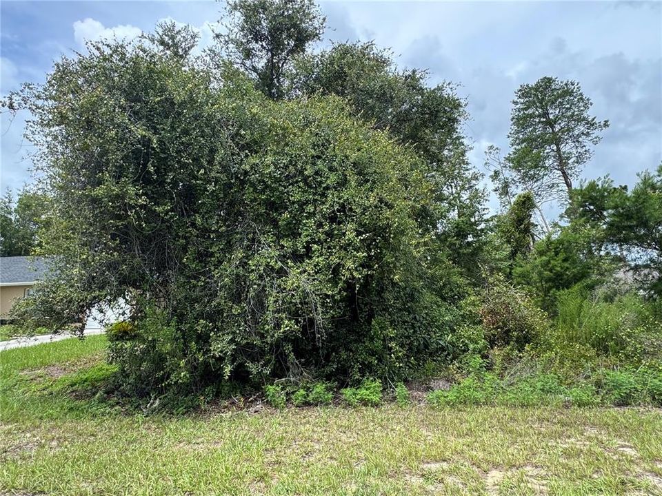 На продажу: $45,000 (0.24 acres)