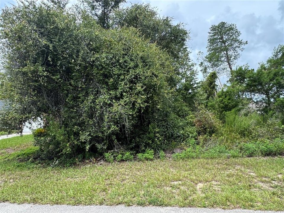 На продажу: $45,000 (0.24 acres)