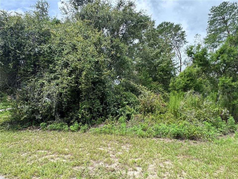 На продажу: $45,000 (0.24 acres)