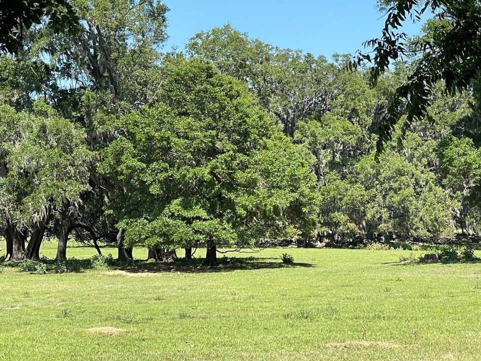 待售: $2,150,000 (108.76 acres)