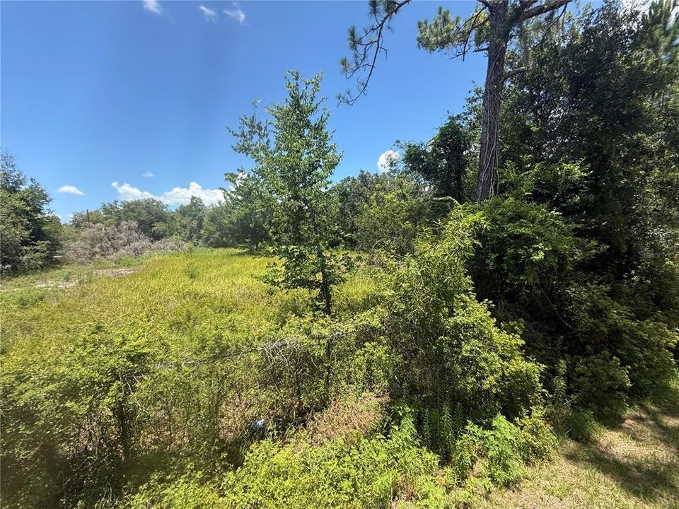 На продажу: $85,000 (1.00 acres)