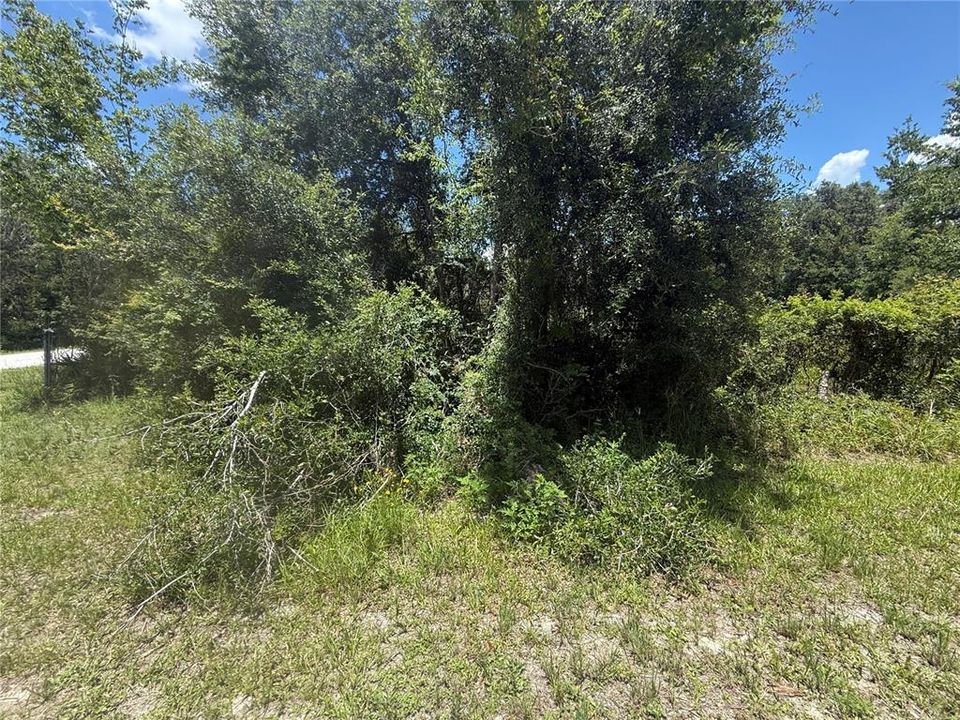 На продажу: $85,000 (1.00 acres)