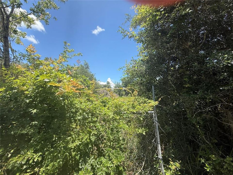 На продажу: $85,000 (1.00 acres)