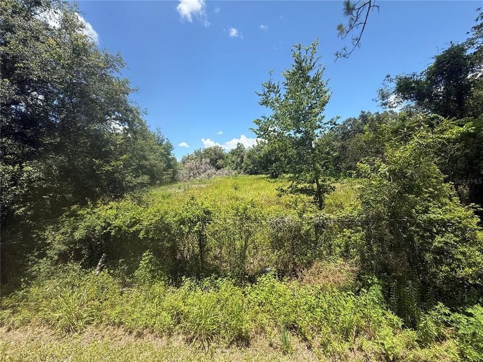 На продажу: $85,000 (1.00 acres)