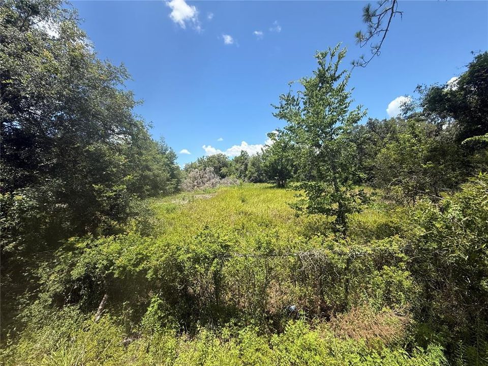 На продажу: $85,000 (1.00 acres)