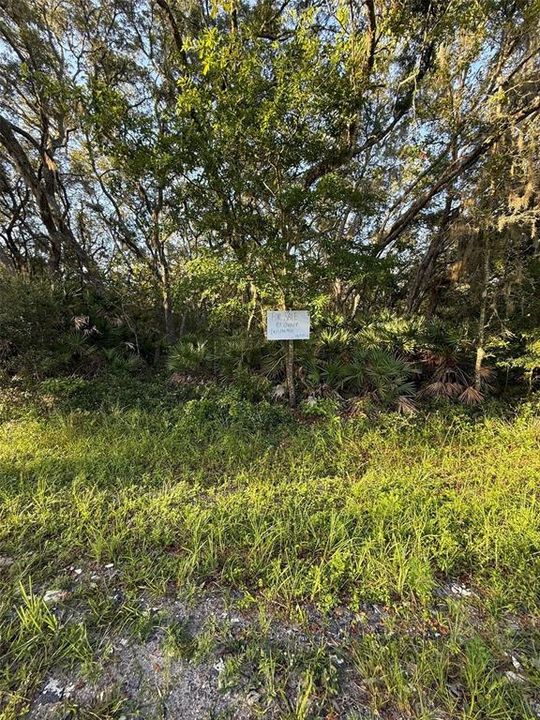 For Sale: $10,000 (0.23 acres)