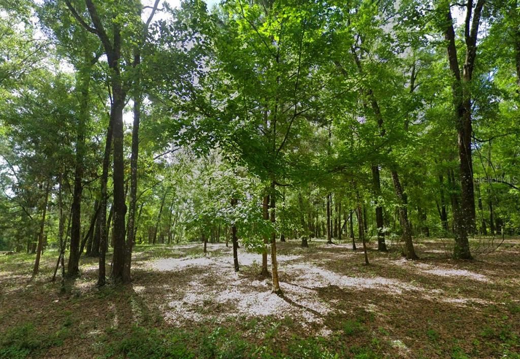 На продажу: $158,000 (4.00 acres)