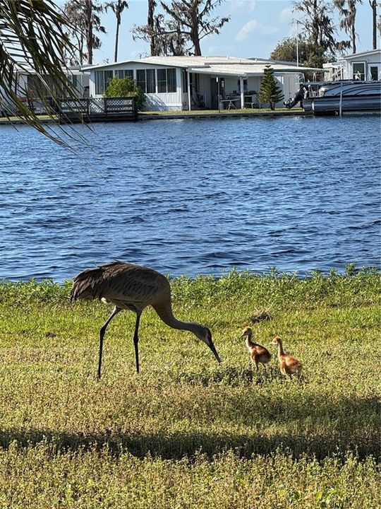 待售: $287,500 (3 贝兹, 2 浴室, 1288 平方英尺)