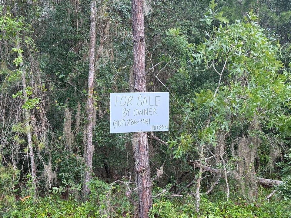 待售: $13,000 (0.23 acres)