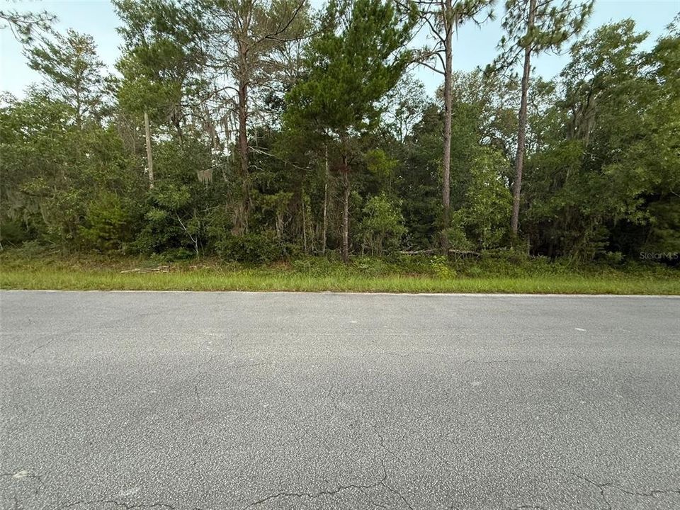 待售: $13,000 (0.23 acres)