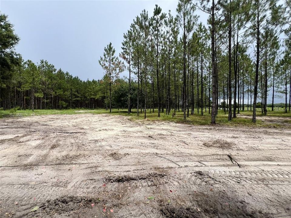 待售: $79,000 (1.01 acres)