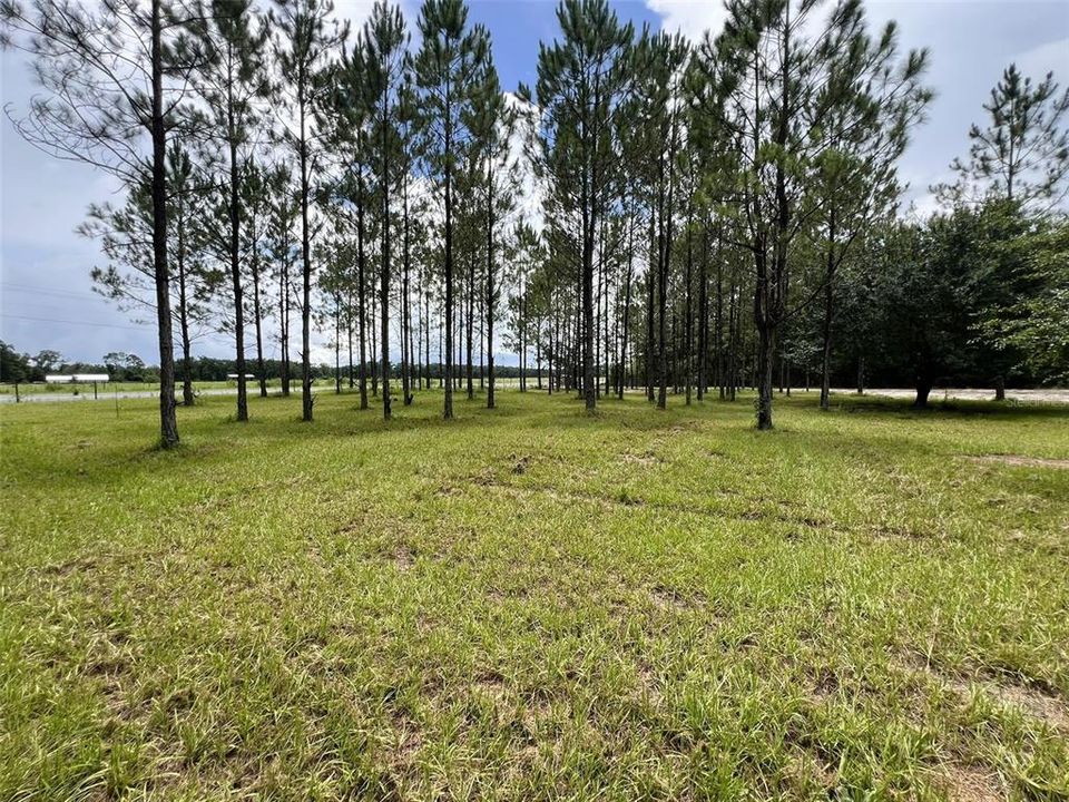 待售: $79,000 (1.01 acres)