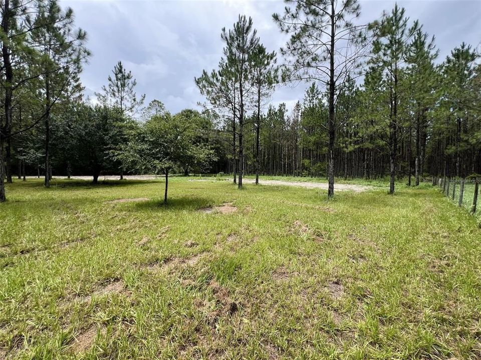 待售: $79,000 (1.01 acres)