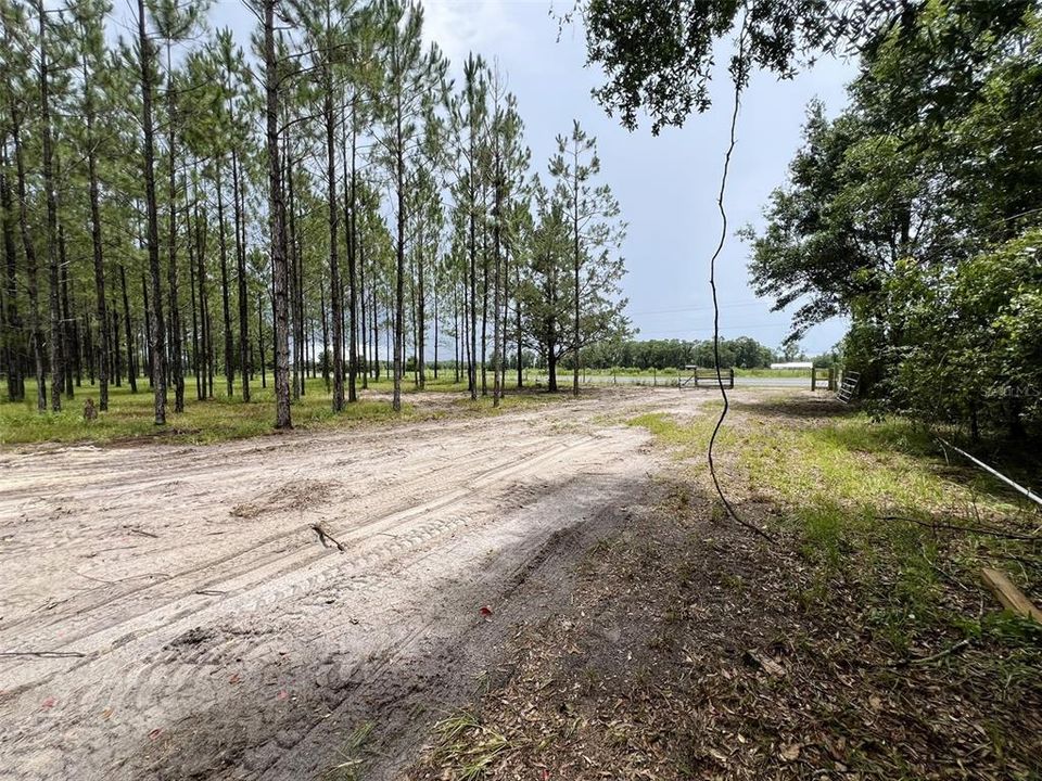 待售: $79,000 (1.01 acres)