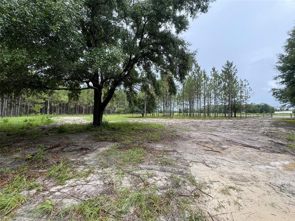 待售: $79,000 (1.01 acres)