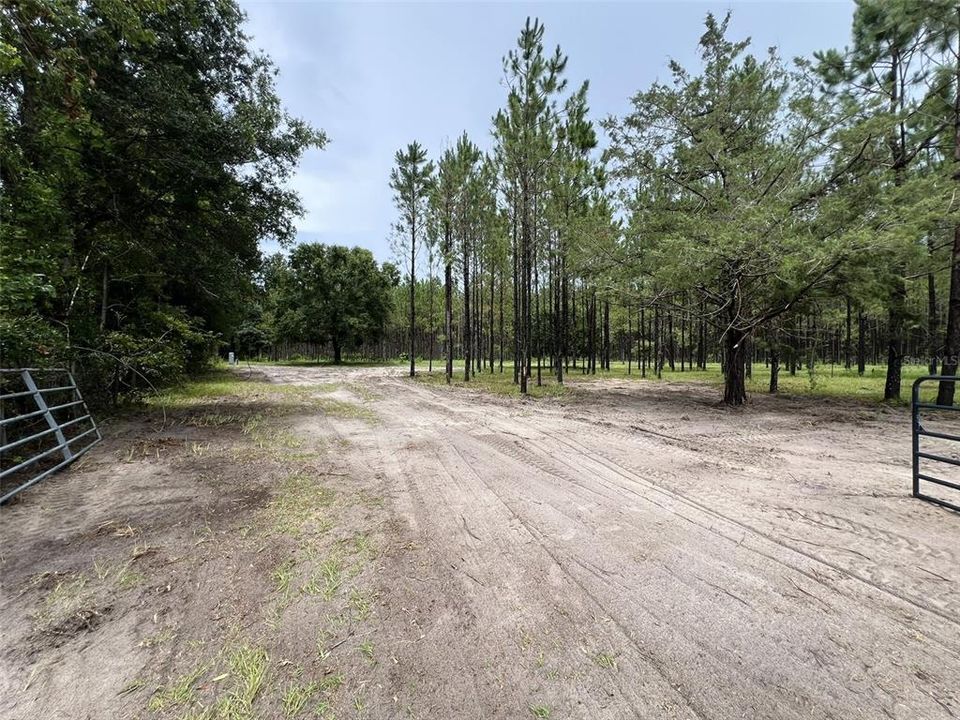 待售: $79,000 (1.01 acres)